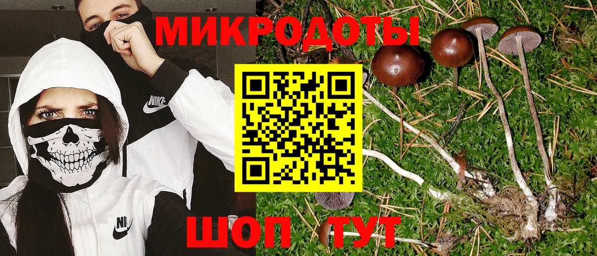 Сочи  Галлюциногенные грибы мицелий  Вход с VPN 