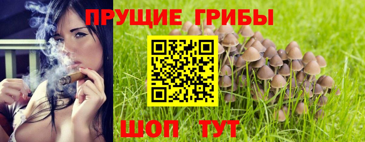 Псилоцибиновые грибы мухоморы Сочи